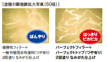 塗膜の顕微鏡拡大写真(50倍)
