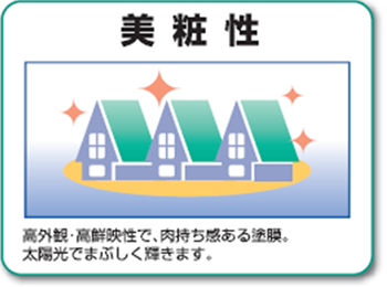 美粧性