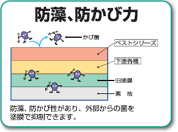 防藻、防かび力